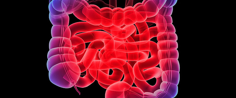 Surgery for Cancers of Digestive System