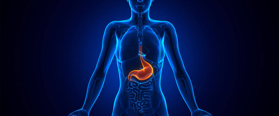 Esophagus Surgery