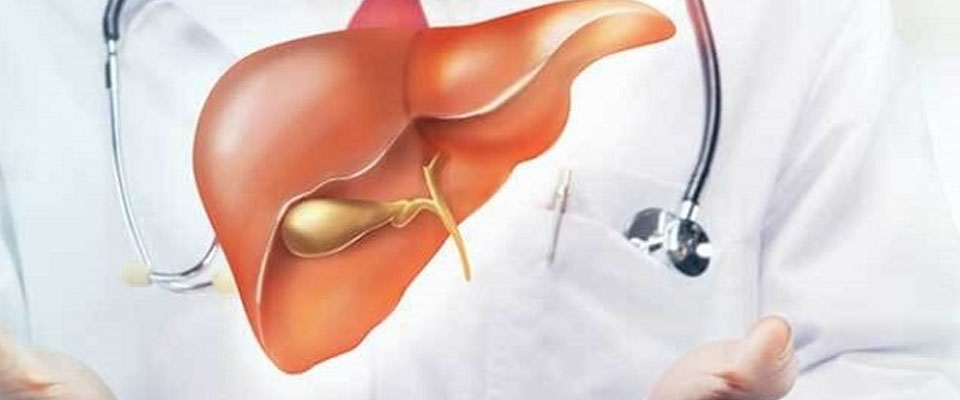 Liver Surgery