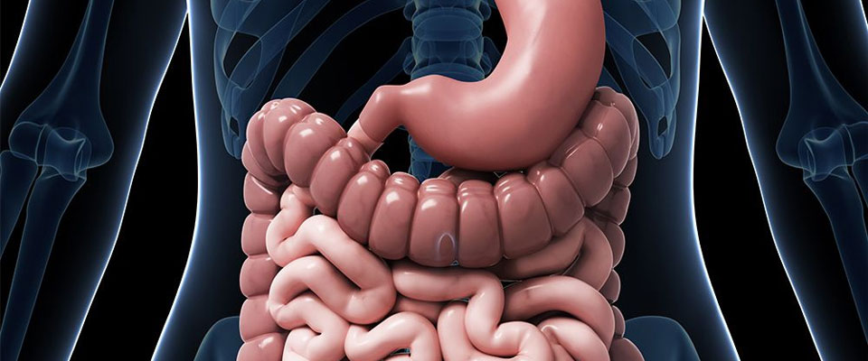 Stomach Surgery